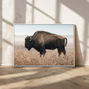 American Bison Wall Art Canvas Print – Majestic Buffalo