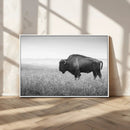 Black White Bison Canvas Wall Art, Rustic American Buffalo by MyGreatCanvas | Canvas Wall Art Prints | Photo Prints & Wall Decor