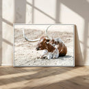 Majestic Longhorn Wall Art Canvas Print – Resting on Sunlit by MyGreatCanvas | Canvas Wall Art Prints | Photo Prints & Wall Decor