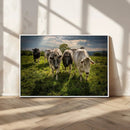 Grazing Cattle Herd Wall Art Canvas Print, Majestic Farm by MyGreatCanvas | Canvas Wall Art Prints | Photo Prints & Wall Decor