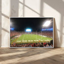 Dooley Stadium Wall Art, Sports Arena Panoramic Canvas by MyGreatCanvas | Canvas Wall Art Prints | Photo Prints & Wall Decor