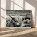 Cow Focus Canvas Wall Art Print by MyGreatCanvas | Canvas Wall Art Prints | Photo Prints & Wall Decor
