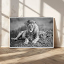 King Forest Lion Wall Art Canvas Print – Framed Majestic by MyGreatCanvas | Canvas Wall Art Prints | Photo Prints & Wall Decor