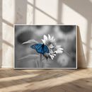 Blue Butterfly Black and White Canvas Wall Art by MyGreatCanvas | Canvas Wall Art Prints | Photo Prints & Wall Decor