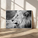 African Lion Wall Art Canvas Print – Majestic Wildlife