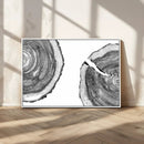 Abstract Large Tree Rings – Minimalist Black and White Wood