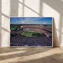 South Carolina Gamecocks Football Team Print - Columbia