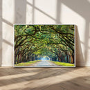 Wormsloe State Plantation Driveway Wall Art Canvas Print by MyGreatCanvas | Canvas Wall Art Prints | Photo Prints & Wall Decor