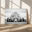 Resting Grizzly Bear Wall Art Canvas Print – Majestic Lazy by MyGreatCanvas | Canvas Wall Art Prints | Photo Prints & Wall Decor