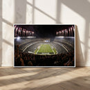 Eagles Field Stadium Wall Art - Philadelphia Eagles Football
