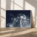 Jellyfish Wall Art Canvas Print, Modern Abstract Jellyfish