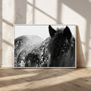 Black Horse in Snow Canvas Print | Winter Horse Wall Art |