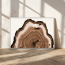 Rustic Wood Rings Wall Art | Nature-Inspired Tree Ring