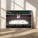 Honda Center California Anaheim Ducks Ice Hockey Stadium
