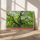 Framed Angel Oak Tree Wall Art - 3-Panel Canvas Prints,