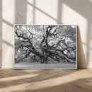 Black White Angel Oak Tree Wall Art - Timeless