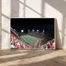 Houston Cougars Football Team Print - Houston TDECU Stadium