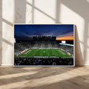 Michigan State Spartans Football Team Print - East Lansing