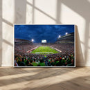 Michigan State Spartans Football Team Print - East Lansing