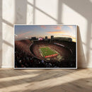 Ohio State University Buckeyes Football Team Print -