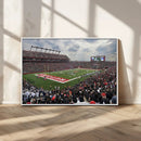 Rutgers Scarlet Knights Football Team Print - SHI Stadium,