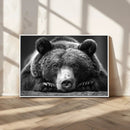Resting Grizzly 399 Bear Canvas Print | Ready to Hang Wall