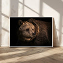 Wild Grizzly 399 Bear Canvas Wall Art Print, Bear Animal by MyGreatCanvas | Canvas Wall Art Prints | Photo Prints & Wall Decor