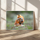 Heartwarming Fox and Baby Cub Wall Art | Ready to Hang
