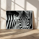 Zebra Wall Art – Zebra Close Up Wall Art – Framed Black by MyGreatCanvas | Canvas Wall Art Prints | Photo Prints & Wall Decor