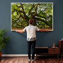 Angel Oak Tree Wall Art Canvas Print | Forest Tree Nature