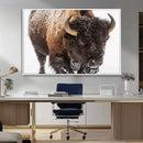Bison Wall Art Canvas Print For Farmhouse, Wild Animal Wall by MyGreatCanvas | Canvas Wall Art Prints | Photo Prints & Wall Decor
