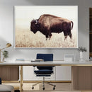 Bison in Field Wall Art Canvas Print For Farmhouse Barn