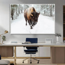 Bison Wall Art Canvas Print For Farmhouse, Animal Canvas