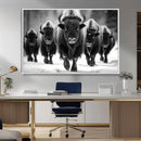 American Bison Art | Buffalo Herd Wall Art Canvas Print, BW