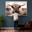 Scottish Cow Longhorn Wall Art Canvas Print