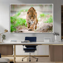 Leopard on the Prowl - Stunning Large Framed Leopard Wall