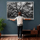 Black and White Old Angel Oak Tree Wall Art Canvas Print