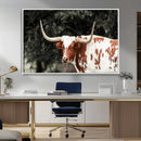 Texas Longhorn Wall Art Canvas Print – Framed Spotted Bull