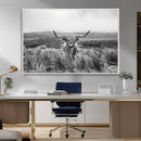 Monochrome Highland Cow Wall Art Canvas Print – Framed by MyGreatCanvas | Canvas Wall Art Prints | Photo Prints & Wall Decor