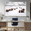 Bison Herd Wall Art Canvas Print – Framed Western Wildlife by MyGreatCanvas | Canvas Wall Art Prints | Photo Prints & Wall Decor