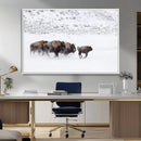 Bison Herd Decor Wall Art Canvas Print – Framed Snowy Bison by MyGreatCanvas | Canvas Wall Art Prints | Photo Prints & Wall Decor