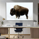 Bison Wall Art Canvas Print – Framed Western Wildlife