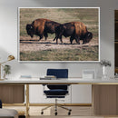 Bison Wall Art Canvas Print – Framed Western Wildlife Modern by MyGreatCanvas | Canvas Wall Art Prints | Photo Prints & Wall Decor