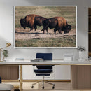 Bison Wall Art Canvas Print – Framed Western Wildlife Art by MyGreatCanvas | Canvas Wall Art Prints | Photo Prints & Wall Decor