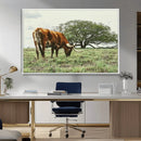 Texas Longhorn Wall Art Canvas Print – Framed Rustic Ranch by MyGreatCanvas | Canvas Wall Art Prints | Photo Prints & Wall Decor