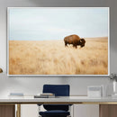 Buffalo Wall Art Canvas Print – Framed Western Wildlife by MyGreatCanvas | Canvas Wall Art Prints | Photo Prints & Wall Decor