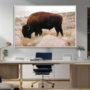 Western Wildlife Wall Art Canvas Print, Majestic Wilderness by MyGreatCanvas | Canvas Wall Art Prints | Photo Prints & Wall Decor