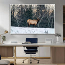 Wild Elk Wall Art Canvas Print – Framed Winter Wildlife by MyGreatCanvas | Canvas Wall Art Prints | Photo Prints & Wall Decor