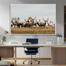 Elk Herd Wall Art Canvas Print – Framed Wildlife Photography