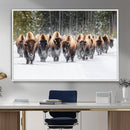 American Bison Herd Wall Art Canvas Print – Powerful Winter by MyGreatCanvas | Canvas Wall Art Prints | Photo Prints & Wall Decor